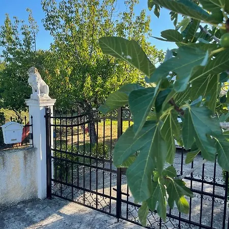 Σπίτι διακοπών Beautiful Nearby House With Garden, Private Pool And Large Yard *