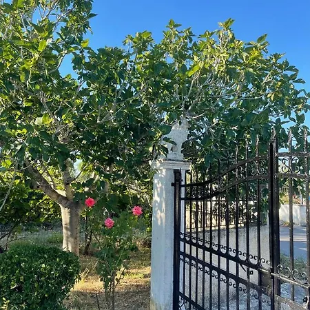 Σπίτι διακοπών Beautiful Nearby House With Garden, Private Pool And Large Yard