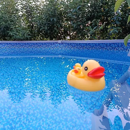 Beautiful Nearby House With Garden, Private Pool And Large Yard *
