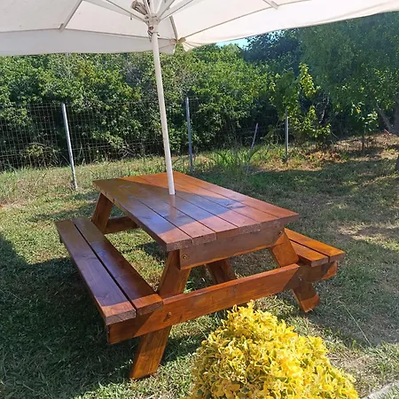 Beautiful Nearby Beach House With Garden, Private Pool And Large Yard Holiday home *