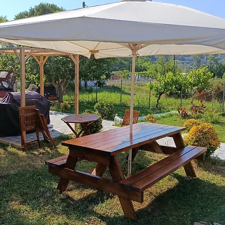 Holiday home Beautiful Nearby Beach House With Garden, Private Pool And Large Yard *