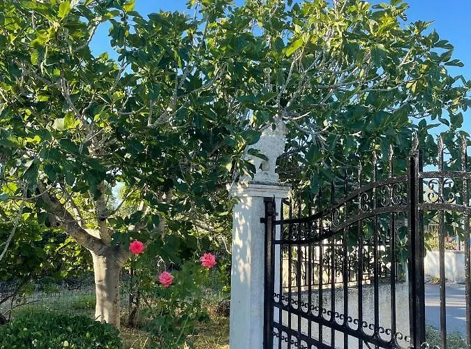 Дом отдыха Beautiful Nearby House With Garden, Private Pool And Large Yard