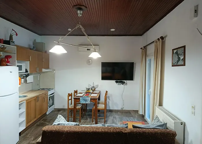 Beautiful Nearby House With Garden, Private Pool And Large Yard
