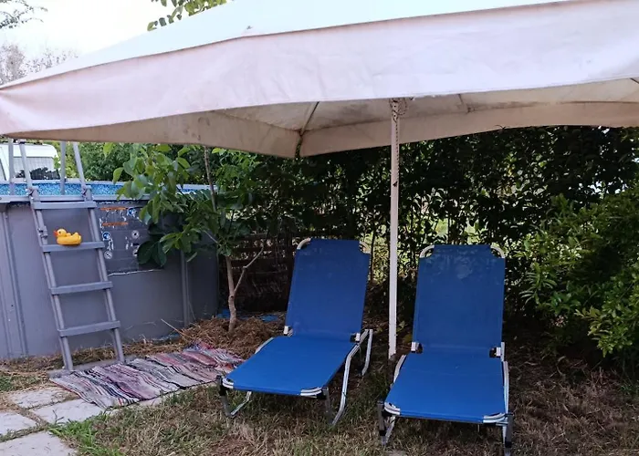 Beautiful Nearby House With Garden, Private Pool And Large Yard *