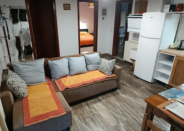 Beautiful Nearby House With Garden, Private Pool And Large Yard