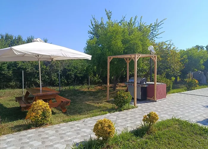 Beautiful Nearby House With Garden, Private Pool And Large Yard *