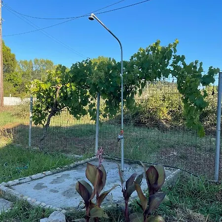 Beautiful Nearby Beach House With Garden, Private Pool And Large Yard Sidari (Corfu)