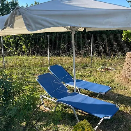 Beautiful Nearby Beach House With Garden, Private Pool And Large Yard Holiday home *